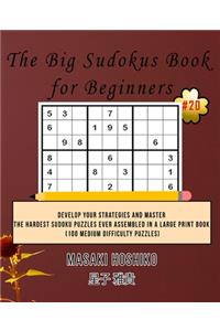 The Big Sudokus Book for Beginners #20
