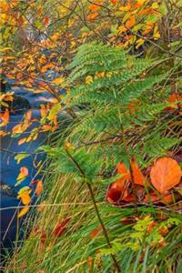 Autumn Notebook