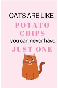 Cats Are Like Potato Chips You Can Never Have Just One