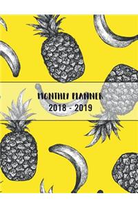 monthly planner 2018 - 2019