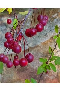 School Composition Book Fall Branches Red Berries 130 Pages