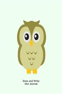 Draw And Write Owl Journal