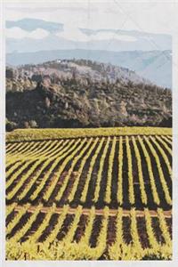 California's Wine Country