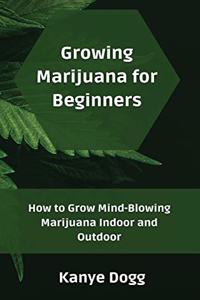 Growing Marijuana for Beginners