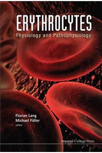 Erythrocytes: Physiology and Pathophysiology