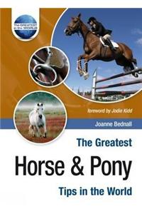 The Greatest Horse and Pony Tips in the World