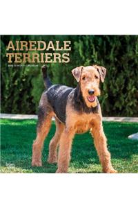 Airedale Terriers 2020 Square Foil