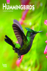 Hummingbirds 2023 Mini 7x7