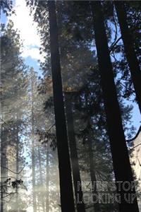 Never Stop Looking Up-Notebook