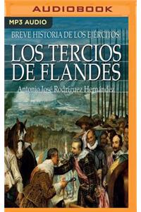 Breve Historia de Los Tercios de Flandes