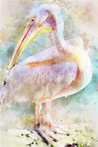 Watercolor of a Pink Pelican Journal