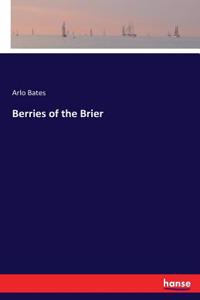 Berries of the Brier