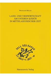 Land- Und Viehwirtschaft Am Unteren Habur in Mittelassyrischer Zeit