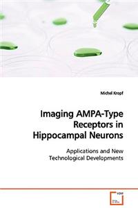 Imaging AMPA-Type Receptors in Hippocampal Neurons