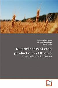 Determinants of crop production in Ethiopia