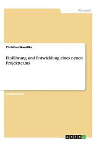 Einführung und Entwicklung eines neuen Projektteams