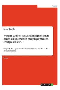 Warum können NGO-Kampagnen auch gegen die Interessen mächtiger Staaten erfolgreich sein?: Vergleich der Argumente des Konstruktivismus mit denen des Institutionalismus