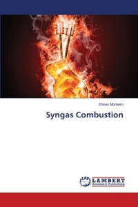 Syngas Combustion