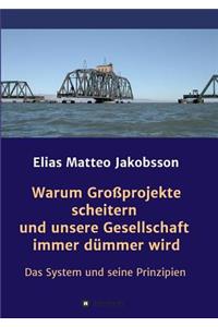 Warum Großprojekte scheitern und unsere Gesellschaft immer dümmer wird