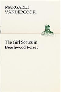 Girl Scouts in Beechwood Forest
