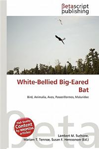 White-Bellied Big-Eared Bat