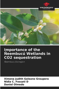 Importance of the Ñeembucú Wetlands in CO2 sequestration