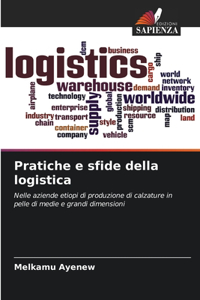 Pratiche e sfide della logistica