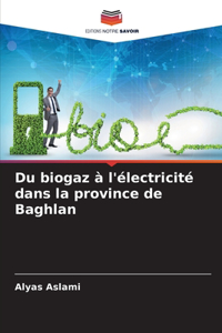 Du biogaz à l'électricité dans la province de Baghlan