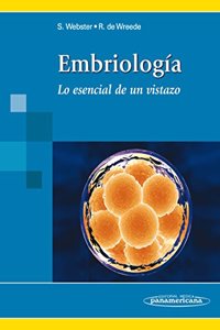 Embriologia / Embryology: Lo Esencial De Un Vistazo / the Essence of a Look