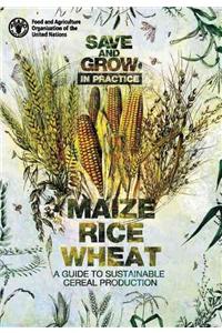 Save and Grow: Maize, Rice and Wheat