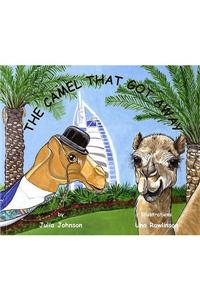 The Camel That Got Away