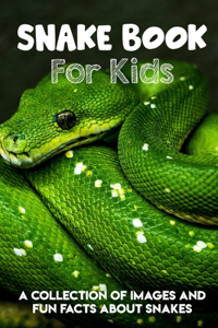 Snake Book For Kids A Collection Of Images And Fun Facts About Snakes