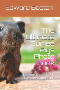 The Ultimate Guinea Pigs Photo Book