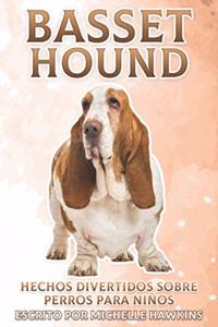 Basset Hound