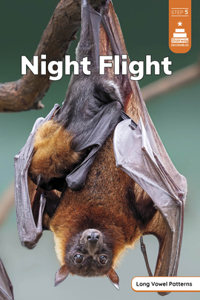 Night Flight
