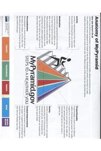 Anatomy of Mypyramid (Paper Sheet)