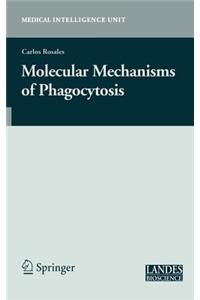 Molecular Mechanisms of Phagocytosis