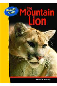 Mountain Lion