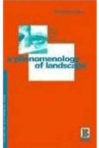 Phenomenology of Landscape