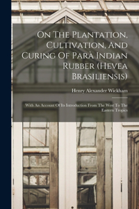 On The Plantation, Cultivation, And Curing Of Parà Indian Rubber (hevea Brasiliensis)