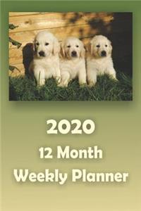 2020 12 Month Weekly Planner
