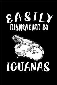 Easily Distracted By Iguanas