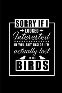 I am Actually Lost In the Birds