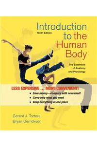 Introduction to the Human Body