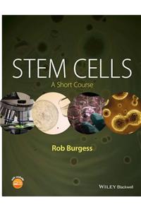 Stem Cells