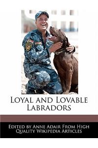 Loyal and Lovable Labradors