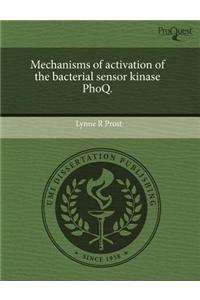 Mechanisms of Activation of the Bacterial Sensor Kinase Phoq