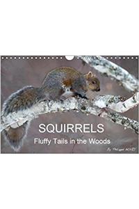 Squirrels / UK-Version 2018