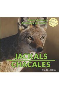 Jackals/Chacales