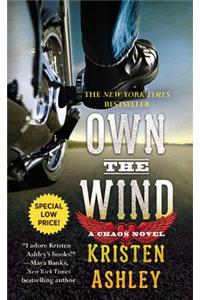 Own the Wind: A Chaos Novel